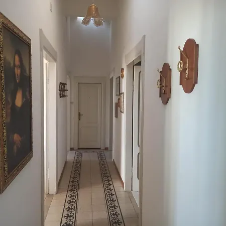 Leopardi * Montefiore dellʼAso